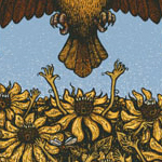 41-phish_thumb