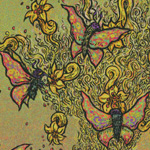 46-widespreadpanic_thumb