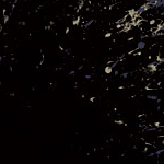 8-doomjazz_thumb